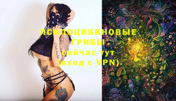 кристаллы Абаза