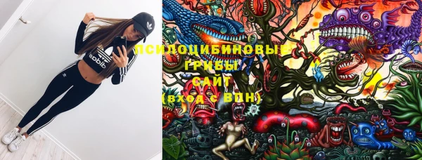 spice Абинск